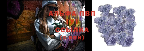 индика Козельск