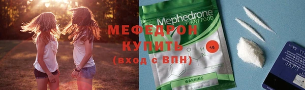 индика Козельск
