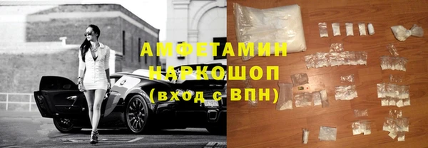 индика Козельск