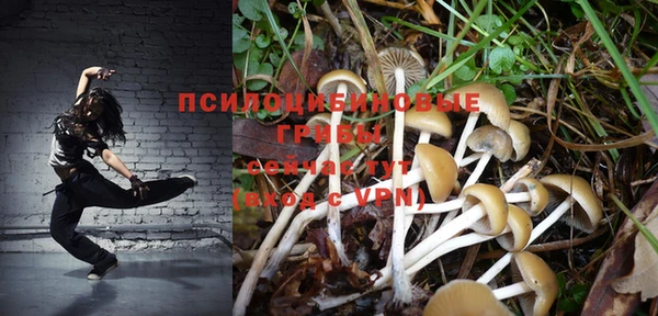 круглые Кодинск