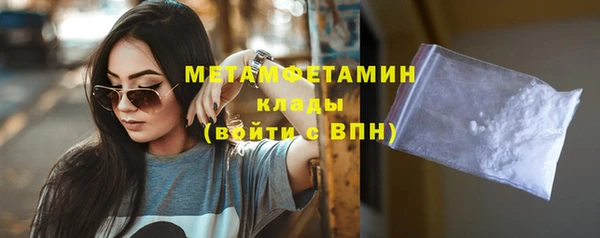 индика Козельск