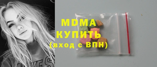 индика Козельск