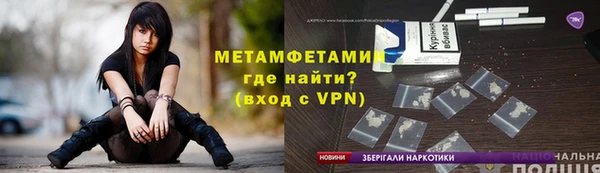индика Козельск