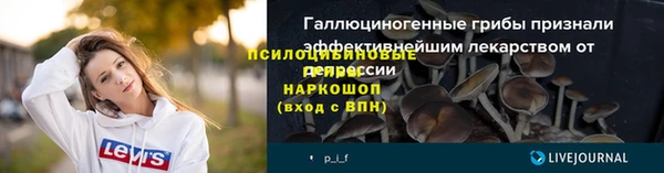индика Козельск