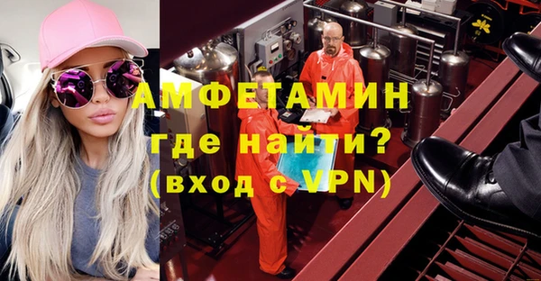 индика Козельск