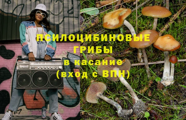 индика Козельск
