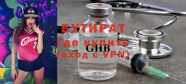 индика Козельск