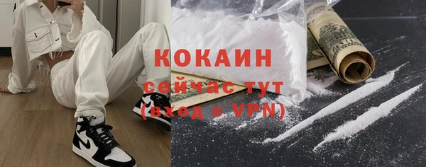 индика Козельск